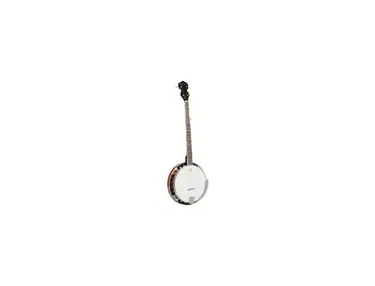 R.W. Jameson 5-string banjo Left-handed