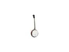R.W. Jameson 5-string banjo Left-handed main image