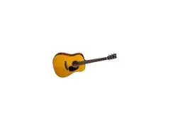 Martin D-16TR