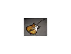 Heit Deluxe '67(?) Hollow Body Guitar main image