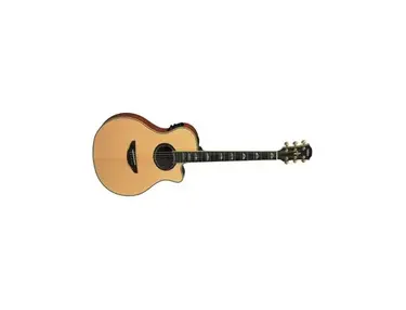 Yamaha APX900