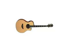 Yamaha APX900 main image