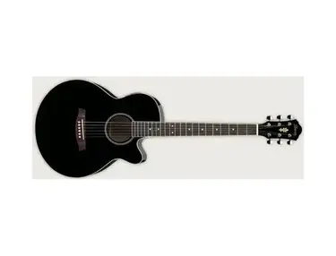 Ibanez  AEG4-BK
