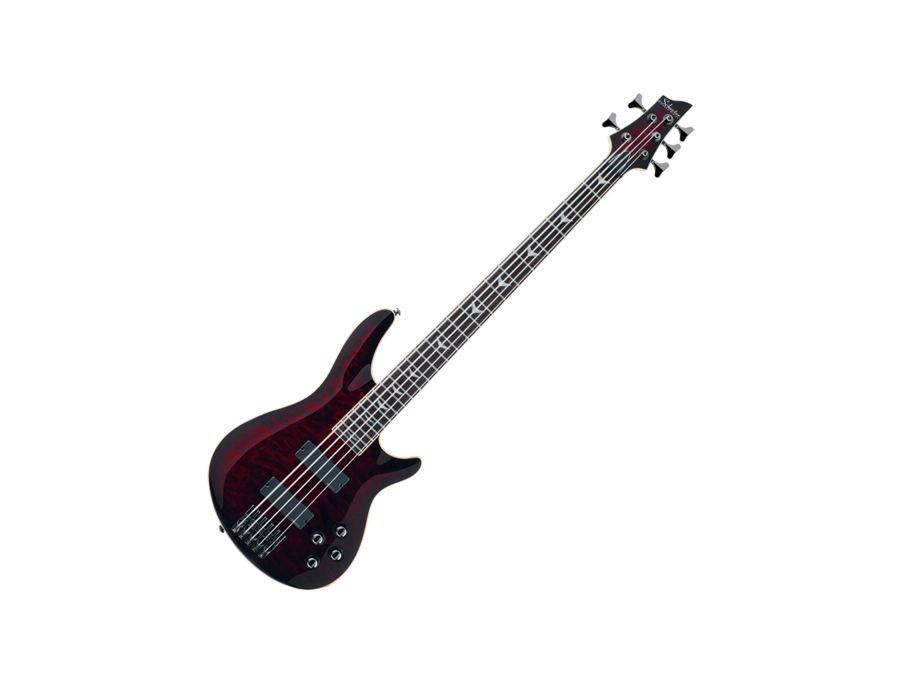Schecter C-5 - What To Know & Where To Buy | Equipboard