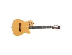 Godin Multiac ACS main image