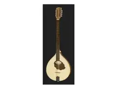 Gewa Pro Natura Irish Bouzouki