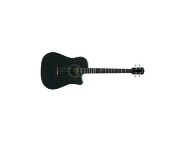 Fender BG29
