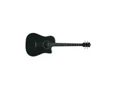 Fender BG29