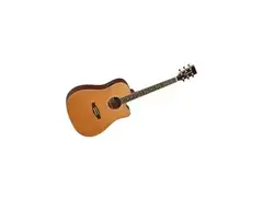Tanglewood TW28 CSN CE main image