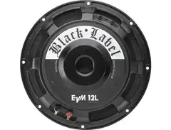 Electro-Voice EVM12L Black Label 300W Speaker