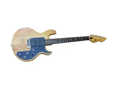 Peavey T-27