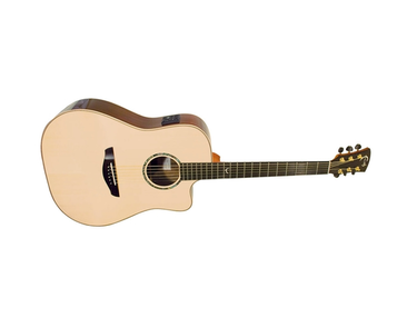 Faith Guitars FSCEHG