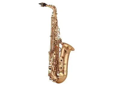 Yanagisawa A901 Alto Saxophone
