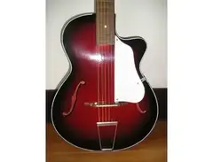 Rosetti Foreign 1960's Archtop main image