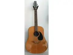 Seagull SM-12 12-String Acoustic