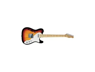 Fender Thinline 1969 Telecaster
