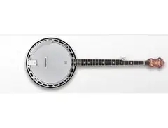gretsch broadkaster banjo main image