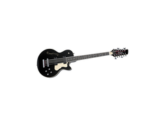 Waterstone TP-12 12-String Bass main image
