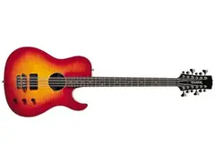 Hamer B-12A 12-String Bass main image