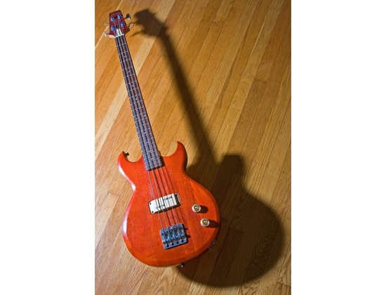 Aria Pro II Cardinal Bass - Artists Using It | Equipboard