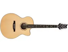 PRS SE Alex Lifeson Signature Acoustic - What To Know & Where To