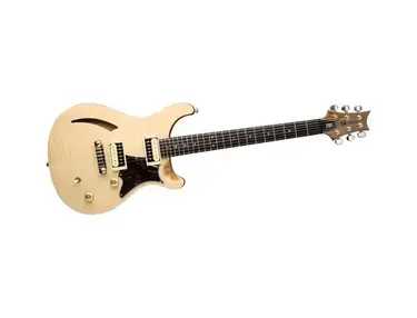 PRS SE Custom Semi Hollow