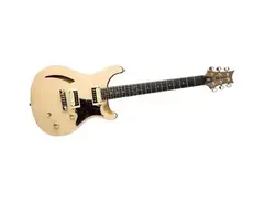 PRS SE Custom Semi Hollow