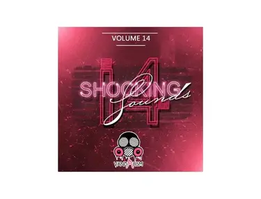 Vandalism Shocking Sounds 14 Sylenth1 Preset Pack