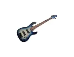 Carruthers Guitars CB5 Bass