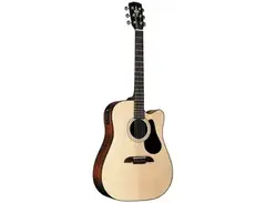 Alvarez RD20SC Dreadnought main image