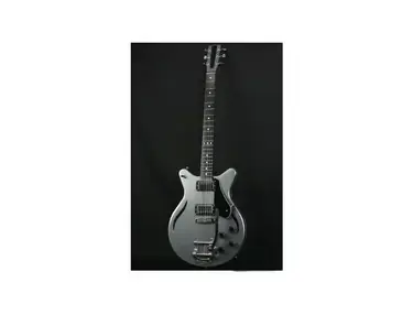Electrical Guitar Company Duane Denison Chessie
