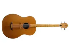 Ernie Ball Earthwood Acoustic Bass