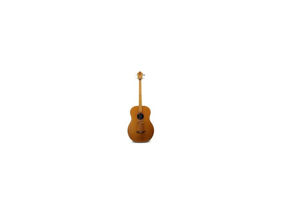 Ernie Ball Earthwood Acoustic Bass Reviews & Prices | Equipboard®