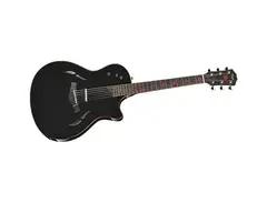 Taylor STSM-T5