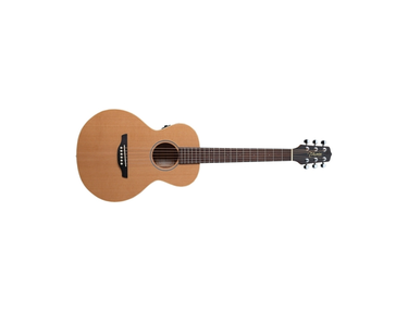 Takamine EG Mini
