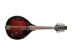 Stagg M50E Mandoline main image