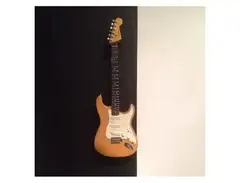 Custom Built "Cecilia" Stratocaster main image