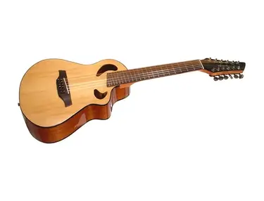 Veillette Avante Gryphon 12-String Acoustic
