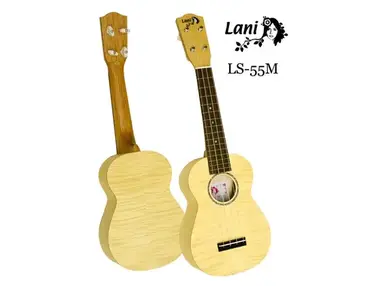 Lani LS-55M