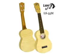 Lani LS-55M main image