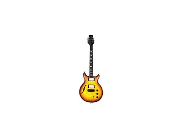 Hamer Duo Tone