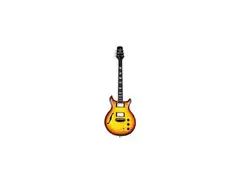 Hamer Duo Tone