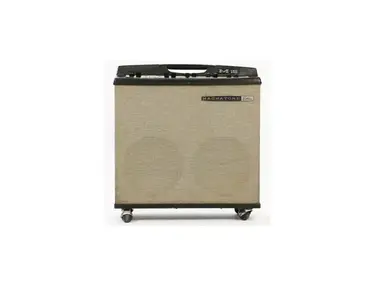 Magnatone M15A Custom Series 2-Channel 38-Watt 2x12" Stereo Guitar Combo