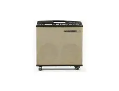 Magnatone M15A Custom Series 2-Channel 38-Watt 2x12" Stereo Guitar Combo