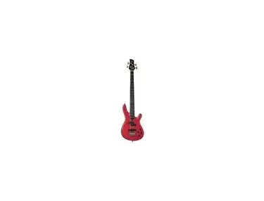 Yamaha TRB-4P