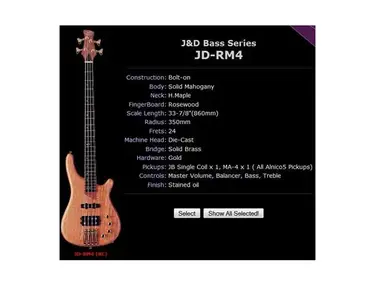 J&D Brothers Bass JD RM4 Modified with 2 outputs