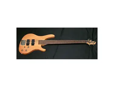 Washburn Pat Badger signature - What To Know & Where To Buy