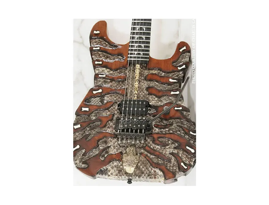 Mr Scary Guitars By George Lynch Snake Hunter - What To Know