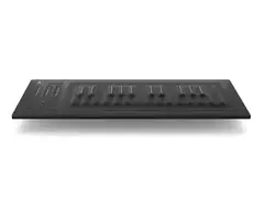 Roli Seaboard RISE 25