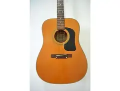 Washburn D10N